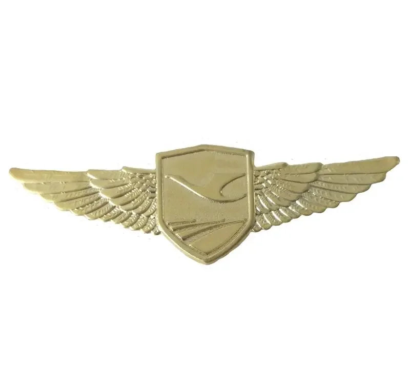 Pilot Flight Officer Wings  Badge Navigation Airlines Civil Aviation Metal Badge Brooch Pins Medal of Challenge Coins