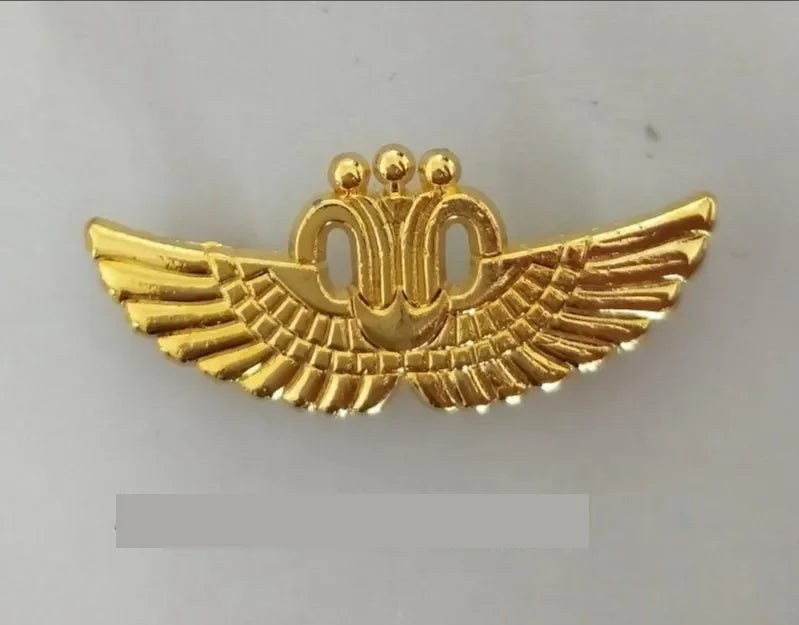 Pilot Flight Officer Wings  Badge Navigation Airlines Civil Aviation Metal Badge Brooch Pins Medal of Challenge Coins