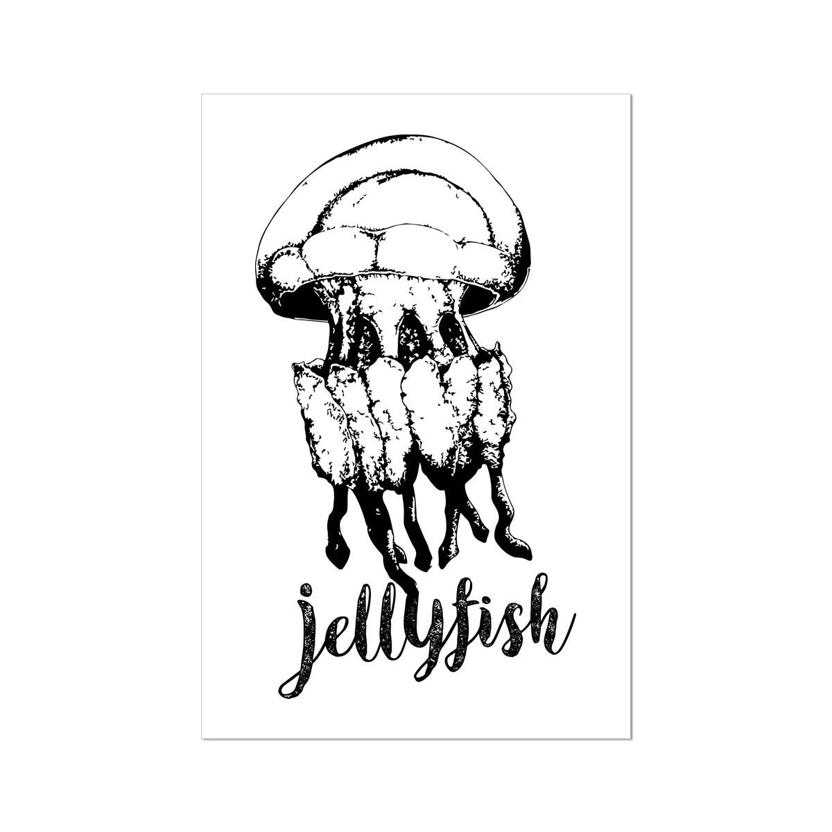 AQUA B&W - 02 - Jellyfish - Rolled Canvas