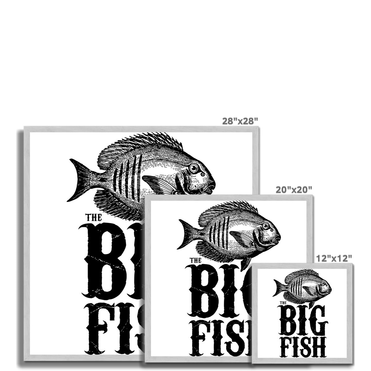 AQUA B&amp;W – 01 – Big Fish – antiker gerahmter Druck