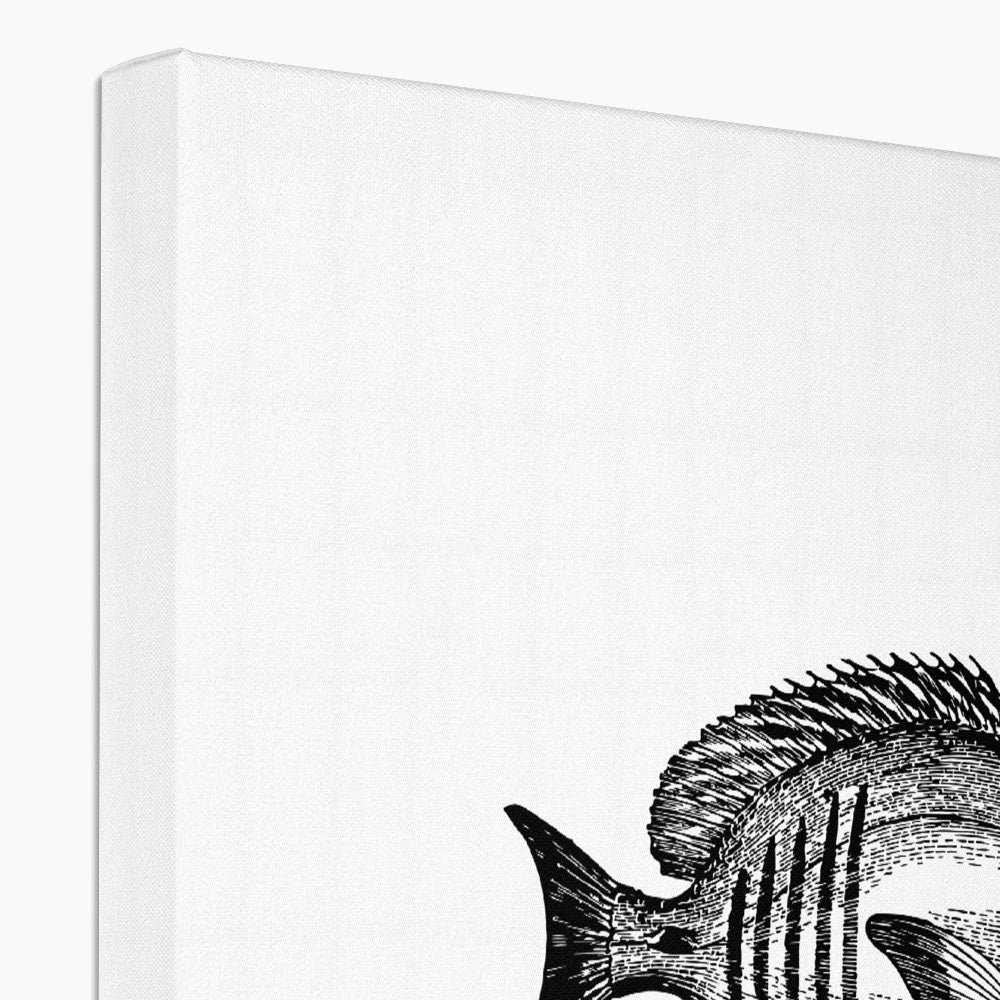 AQUA B&amp;W - 01 - Big Fish - Öko-Leinwand