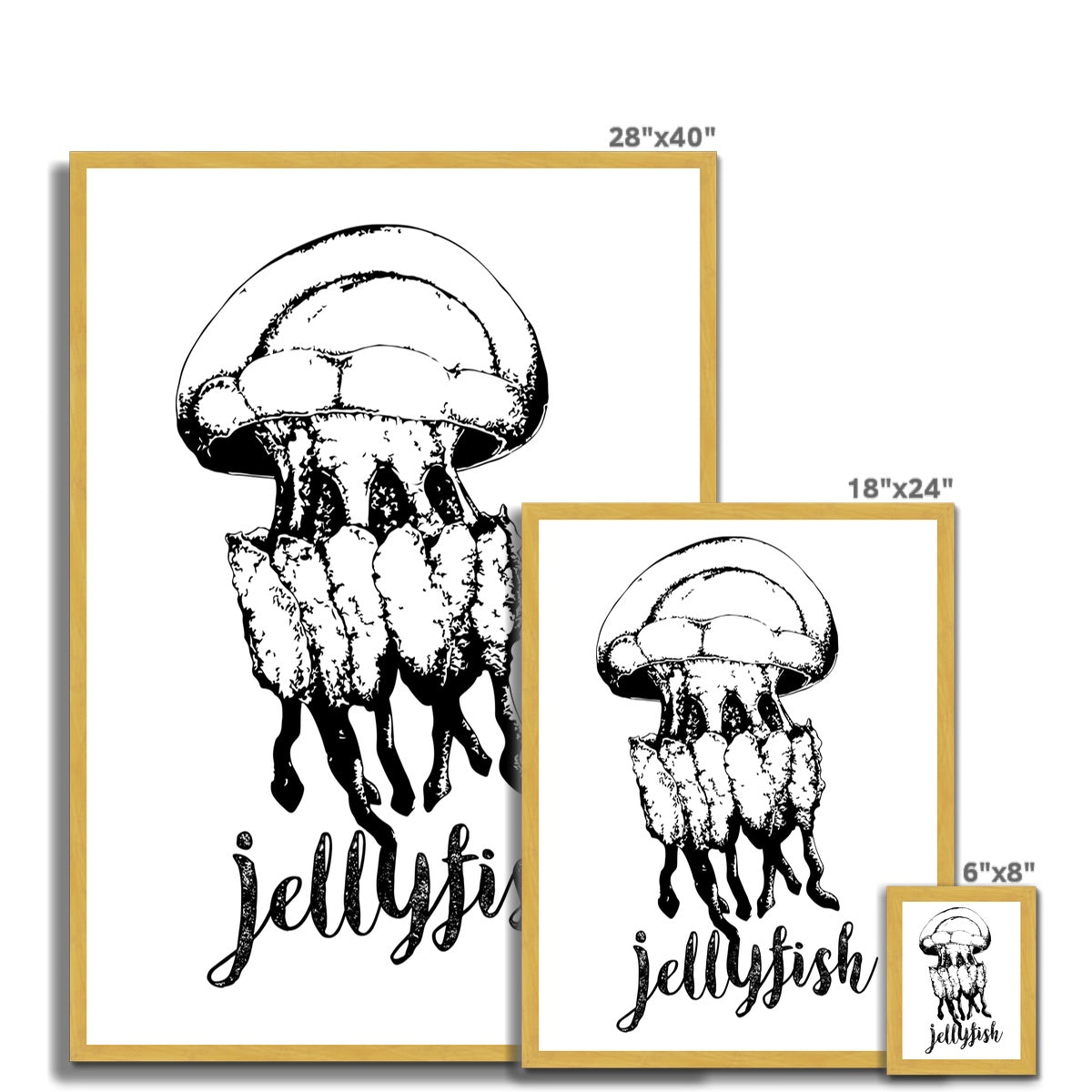 AQUA B&W - 02 - Jellyfish - Antique Framed Print