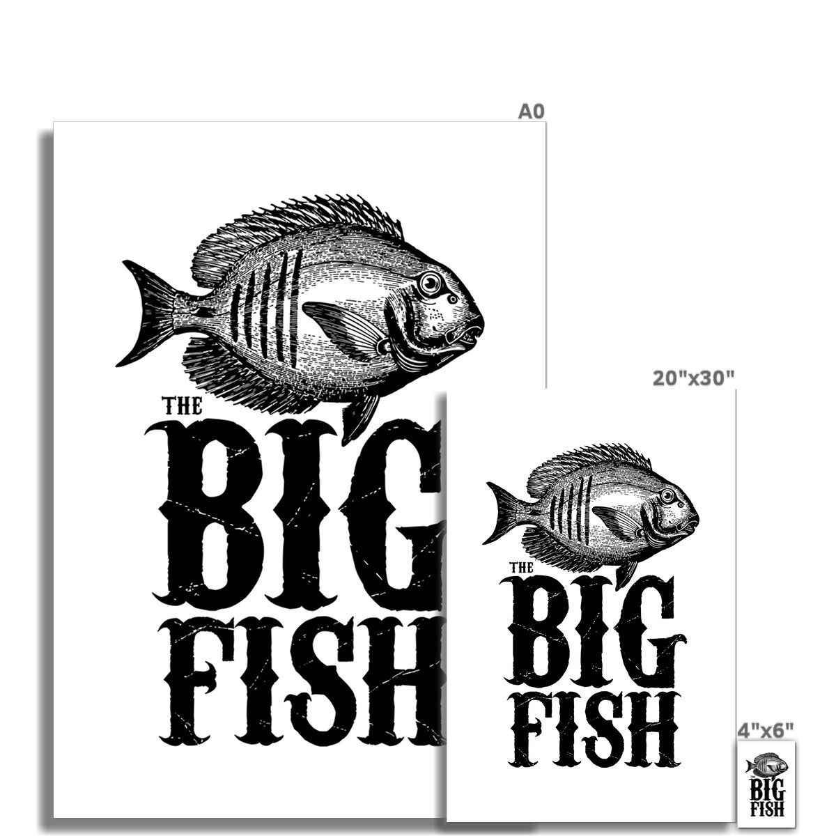 AQUA B&W - 01 -Big Fish - Rolled Canvas