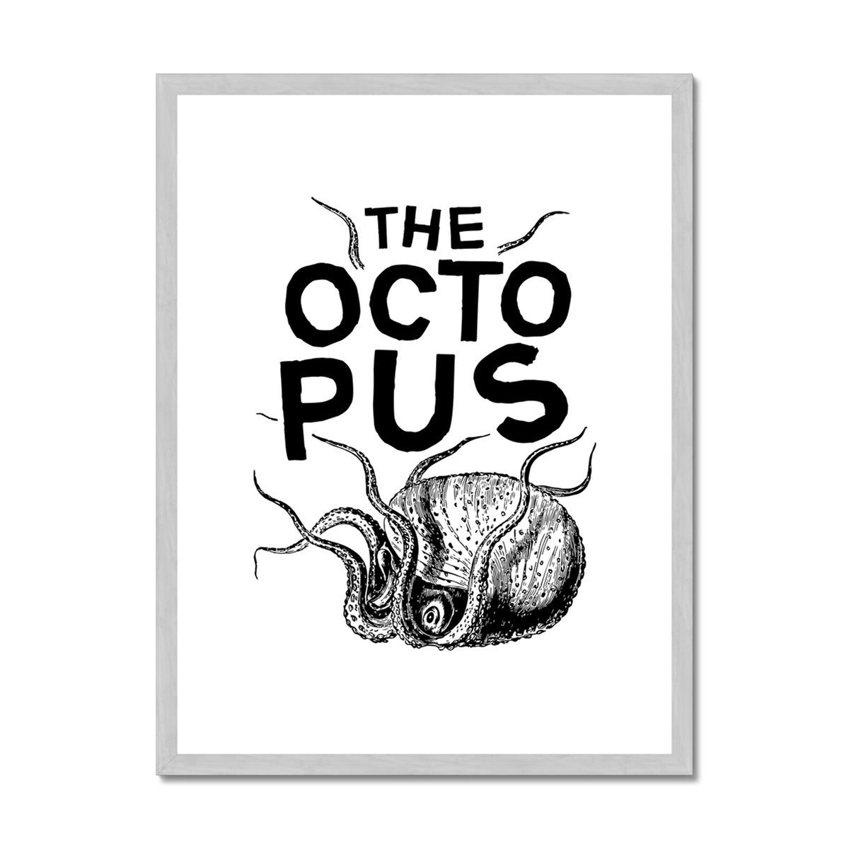 AQUA B&W - 03 - Octopus - Antique Framed & Mounted Print