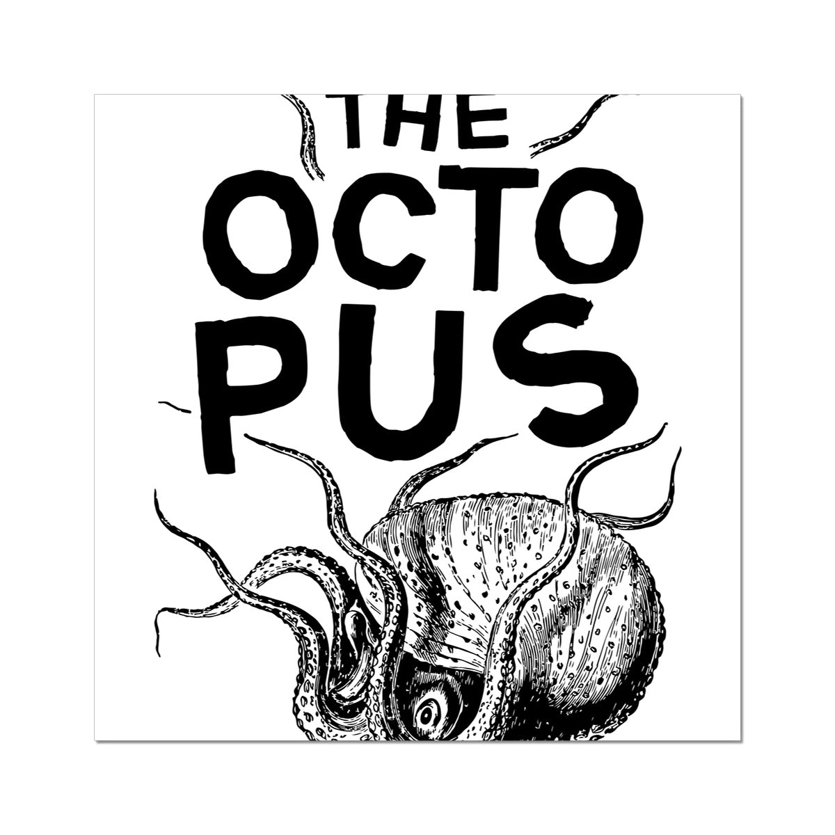 AQUA B&W - 03 - Octopus - Rolled Eco Canvas