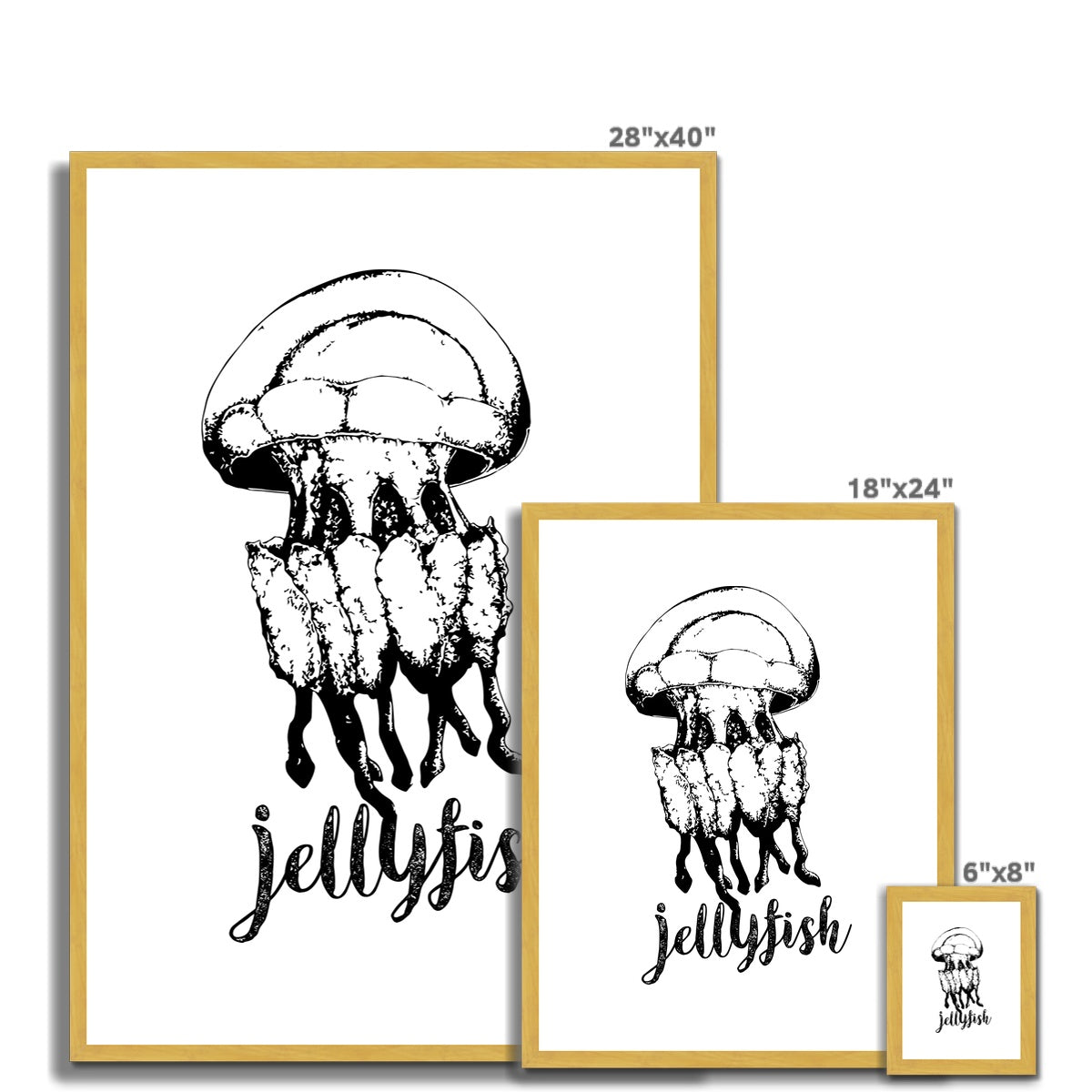 AQUA B&W - 02 - Jellyfish - Antique Framed & Mounted Print