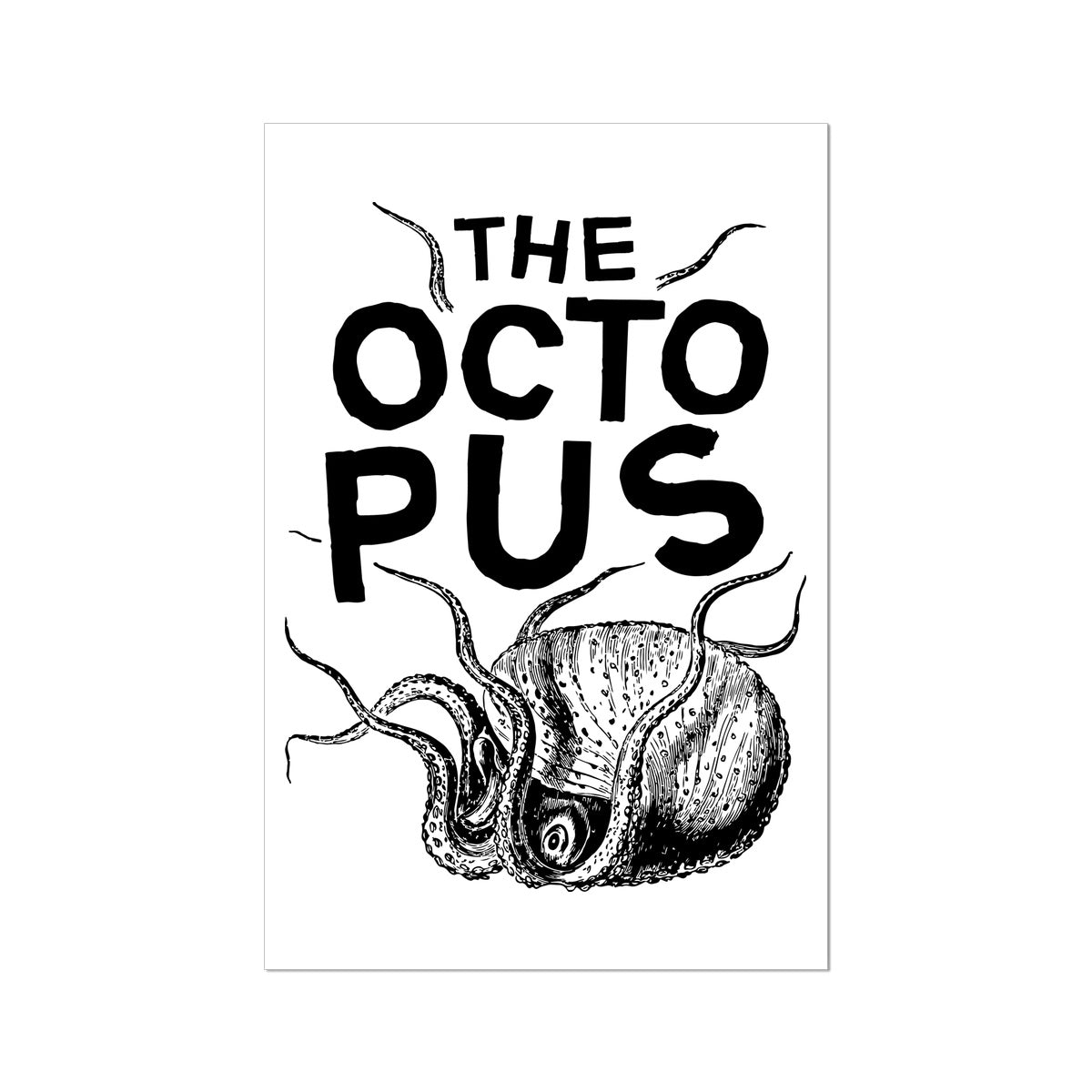 AQUA B&W - 03 - Octopus - Rolled Eco Canvas