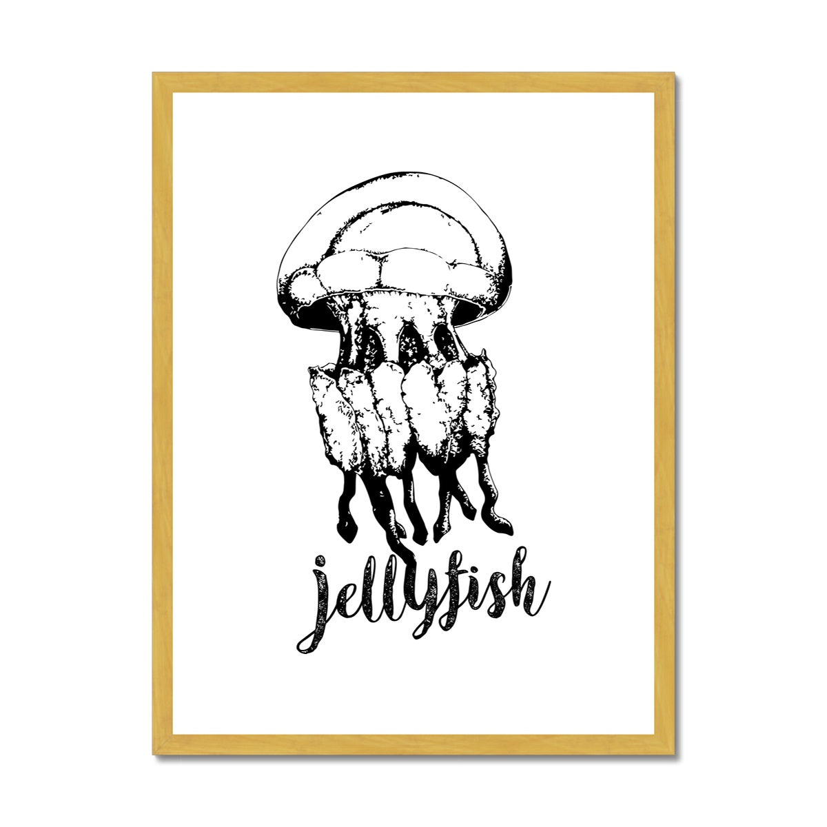 AQUA B&W - 02 - Jellyfish - Antique Framed & Mounted Print