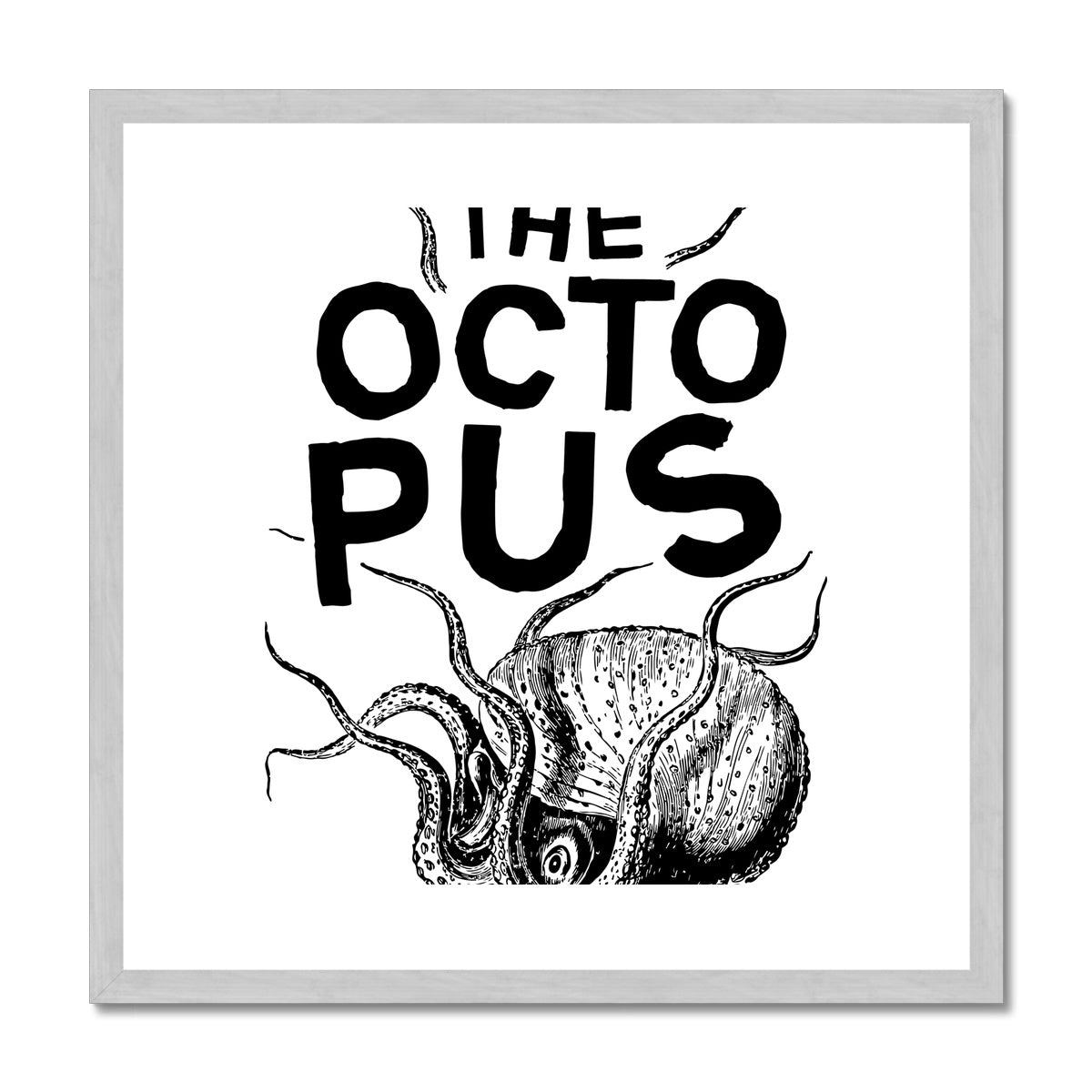 AQUA B&W - 03 - Octopus - Antique Framed & Mounted Print