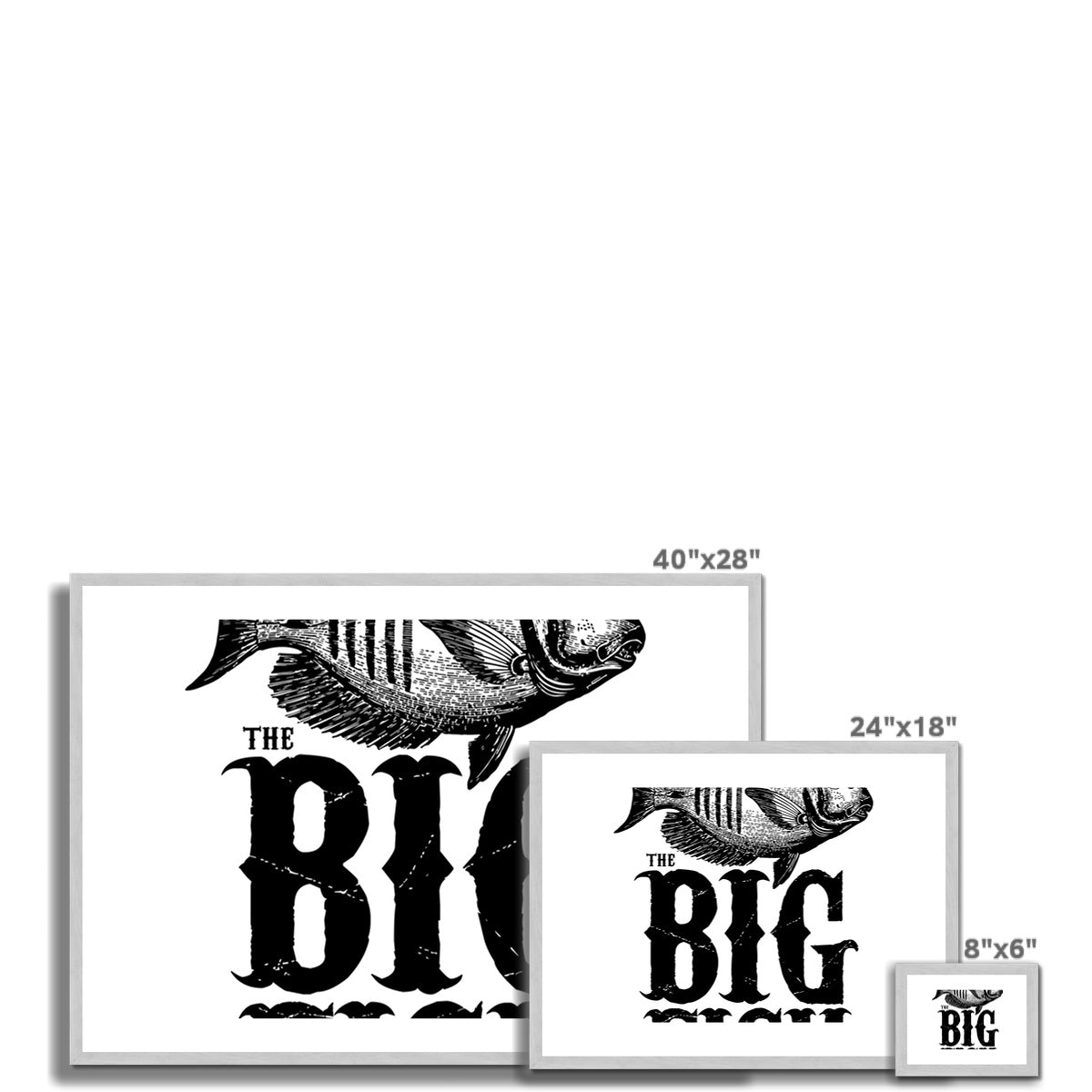 AQUA B&amp;W - 01 -Big Fish - Impressão antiga emoldurada e montada