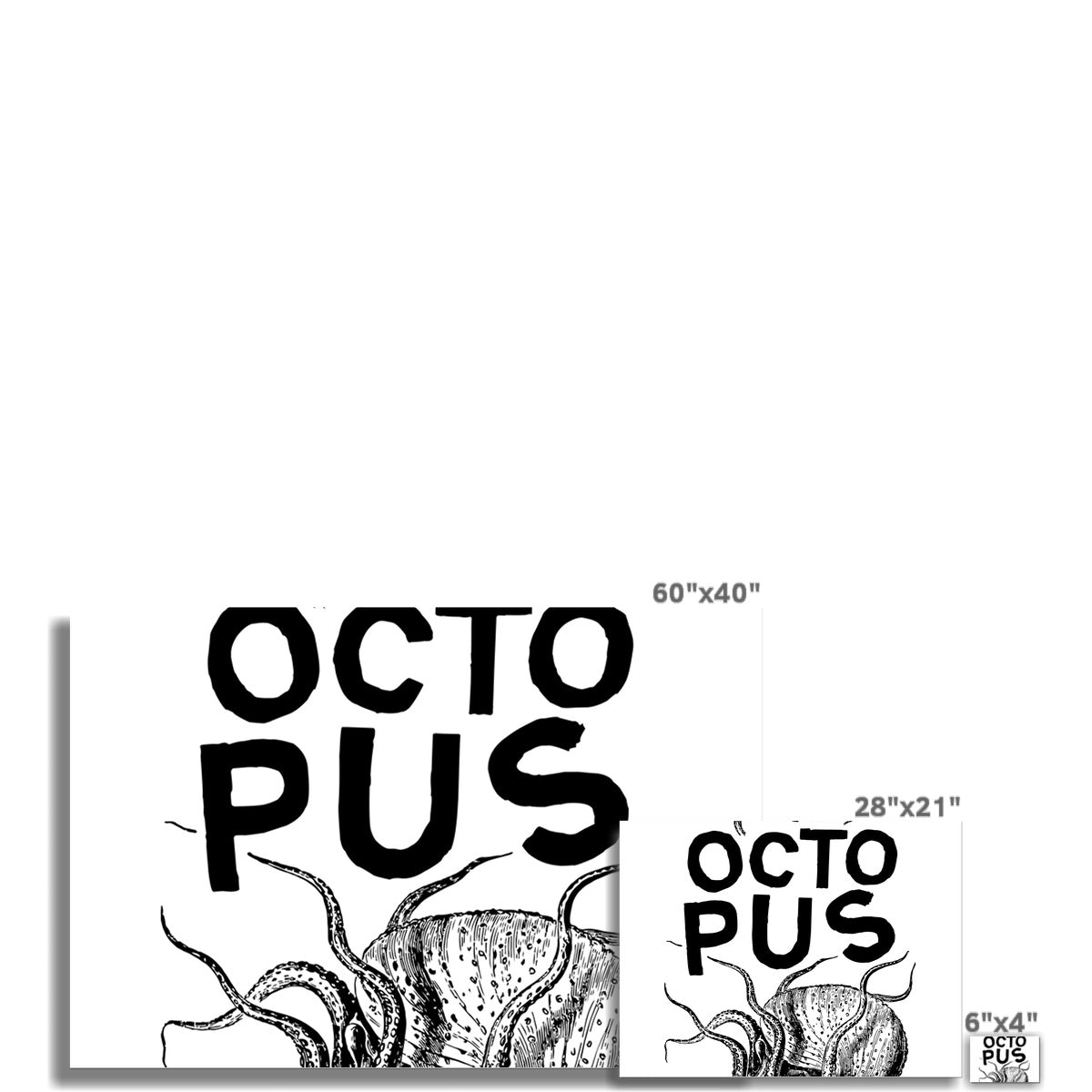 AQUA B&W - 03 - Octopus - Wall Art Poster