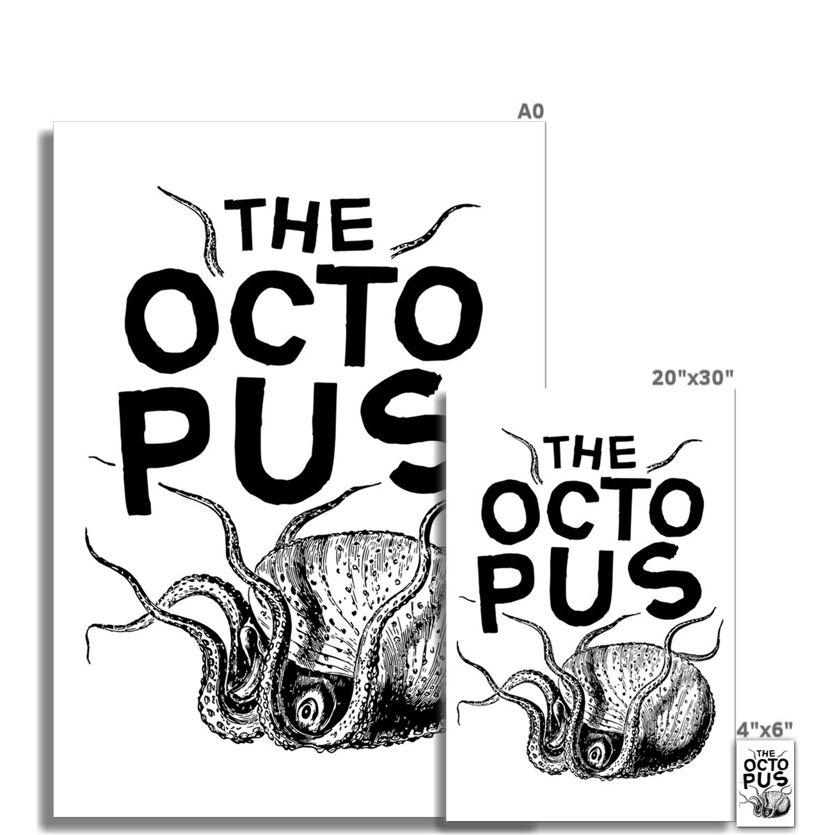 AQUA B&W - 03 - Octopus - Rolled Eco Canvas