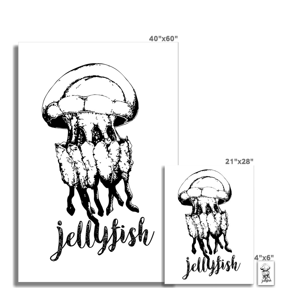 AQUA B&W - 02 - Jellyfish - Wall Art Poster