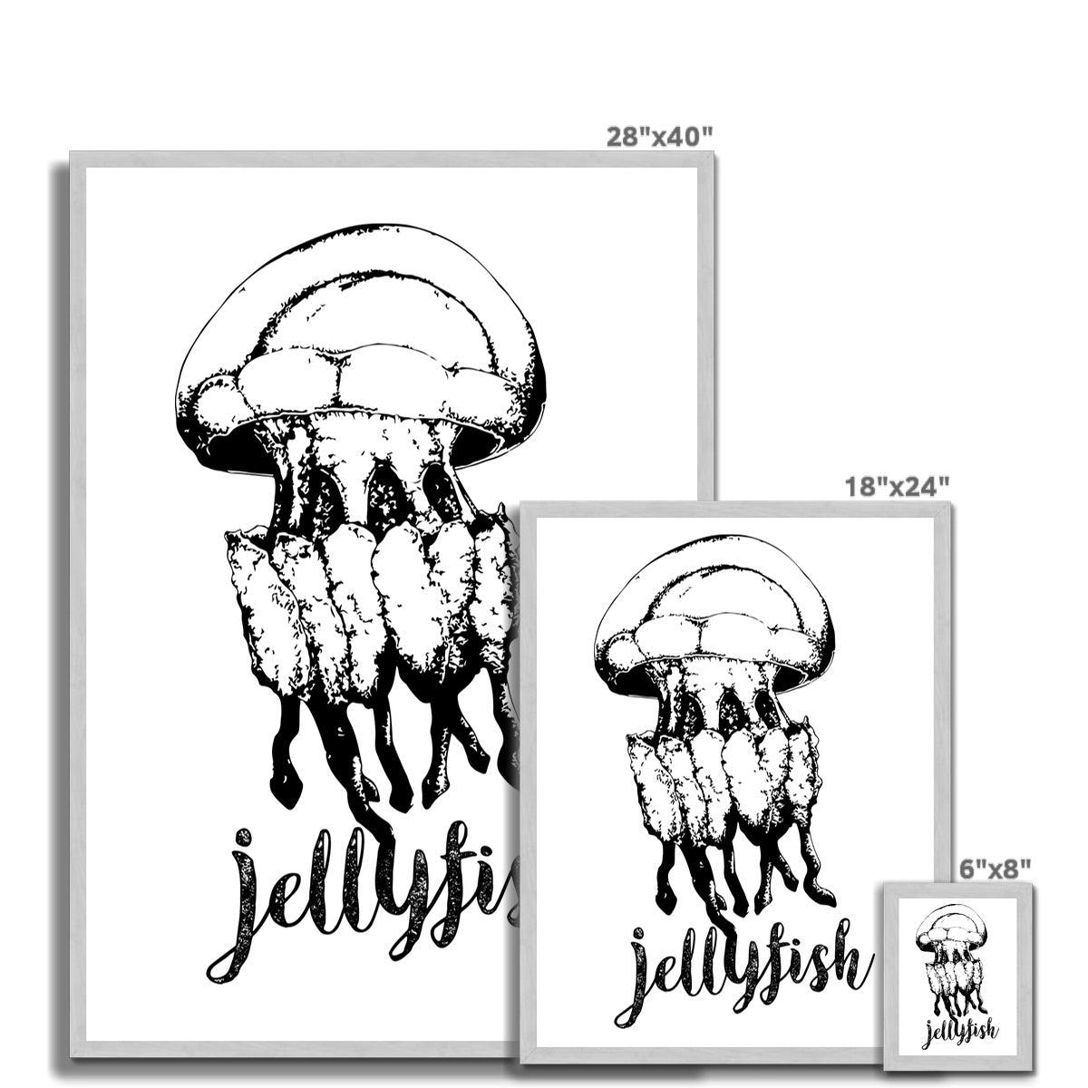 AQUA B&W - 02 - Jellyfish - Antique Framed Print