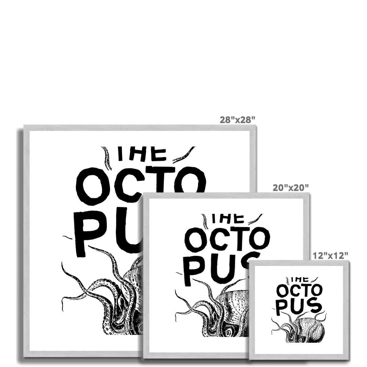 AQUA B&amp;W – 03 – Oktopus – antiker gerahmter und montierter Druck